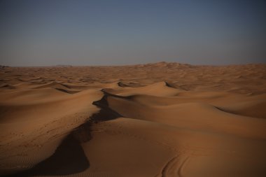 Dubai UAE Desert arazi scape