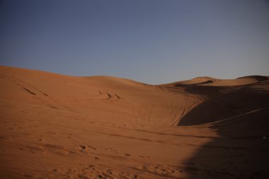 Dubai UAE Desert arazi scape