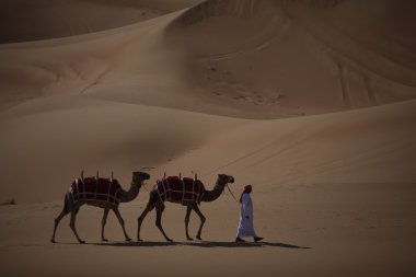 Adam Çölde deve ile