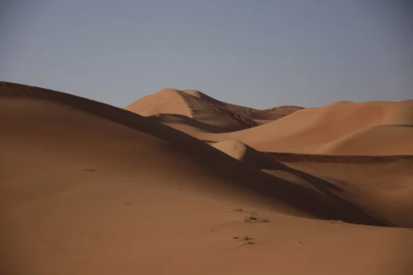 Scape pustyni ziemi w Dubaj Zjednoczone Emiraty Arabskie — Zdjęcie stockowe