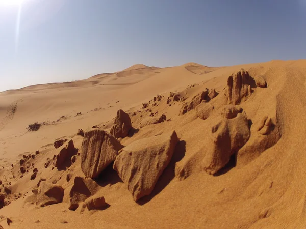 Arena seca en el desierto — Foto de Stock