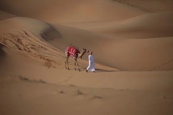 Homme avec chameau dans le désert — Photo