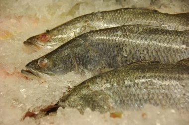 Olmayan vejetaryen yemek tavuk