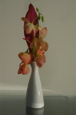 Çiçeklerin mikro görüntüsü