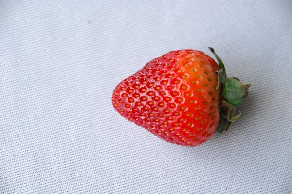 Gros plan de fraise — Photo