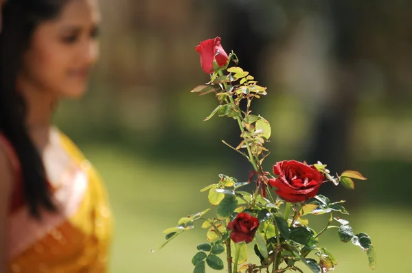 Micro shot of the Flowers — Stock Photo, Image