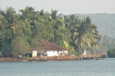 Bahçedeki ağaçlar ve park