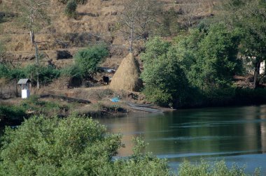 Bahçedeki ağaçlar ve park