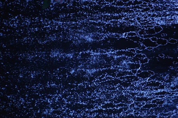 Mikro kadar yakın çekim yapraklar