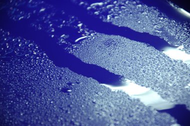 Mikro kadar yakın çekim yapraklar