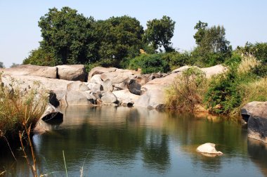 Mikro kadar yakın çekim yapraklar