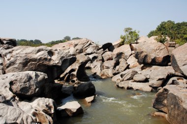 Mikro kadar yakın çekim yapraklar