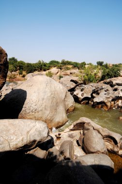 Mikro kadar yakın çekim yapraklar