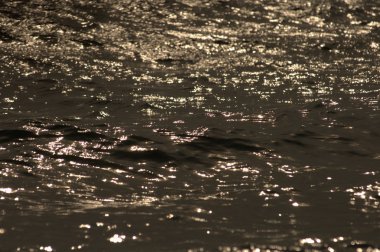 Su dalgaları gün ışığında