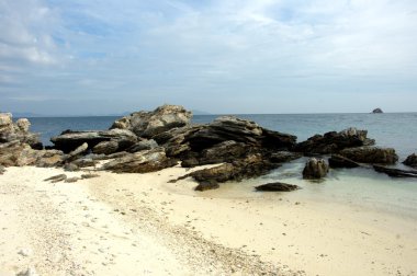 Su dalgaları gün ışığında