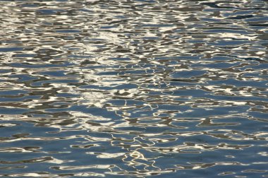 Su dalgaları gün ışığında