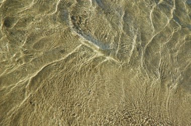 Su dalgaları gün ışığında