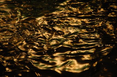 Su dalgaları gün ışığında