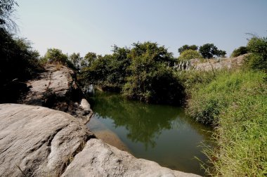 Su yosunlu kayaların arasından akıyor.