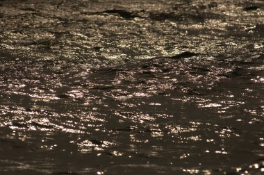 Su dalgaları gün ışığında