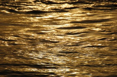 Su dalgaları gün ışığında