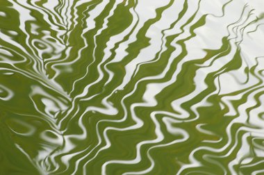 Su dalgaları gün ışığında