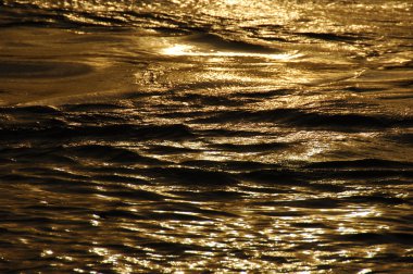 Su dalgaları gün ışığında