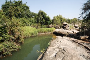 Su yosunlu kayaların arasından akıyor.
