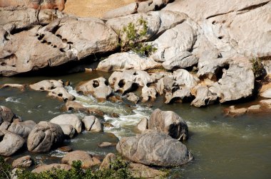 Su yosunlu kayaların arasından akıyor.