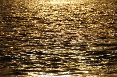 Su dalgaları gün ışığında