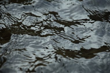 Su dalgaları gün ışığında