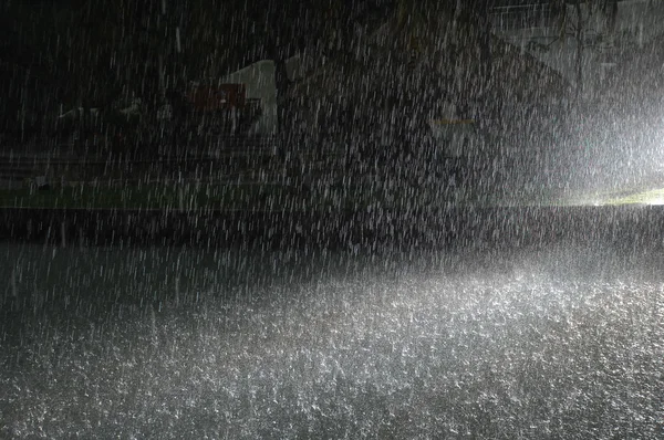 Mikro kadar yakın çekim yapraklar