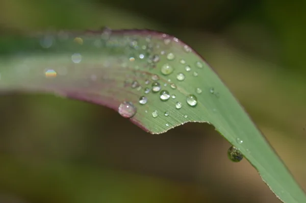 水が止まる — ストック写真