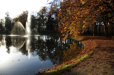 Bahçedeki ağaçlar ve park