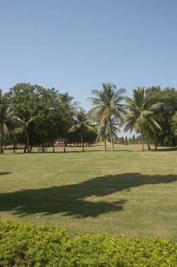 Bahçedeki ağaçlar ve park