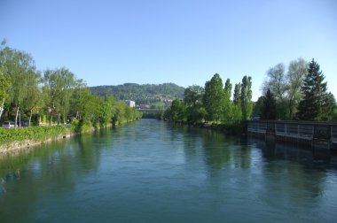 Rüzgardaki ağaçlar