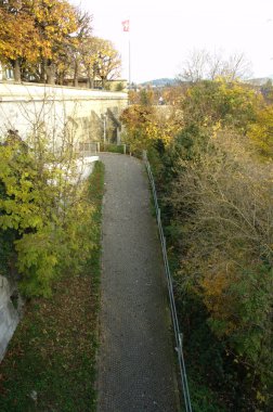 Rüzgardaki ağaçlar