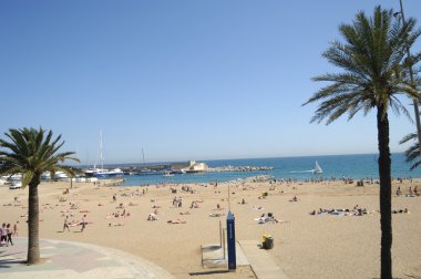 Rüzgardaki ağaçlar