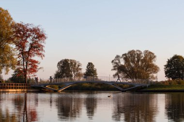 Lewityn Park 'ta Sonbahar - Pabianice - Polonya