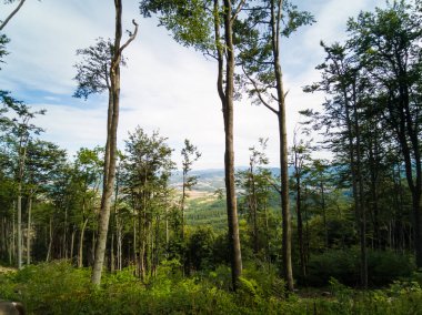 Chelmiec Dağı - Walbrzych Şehri - Polonya