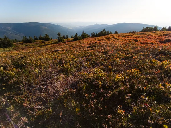 Autumn Snieznik Mountain Carpathians Poland — Stock Photo, Image