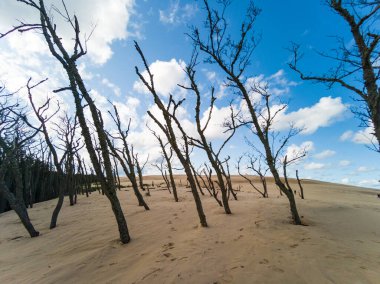 Dunes - Slowinski Ulusal Parkı - Leba - Polonya