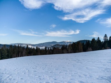 Babia Gora Dağı 'nda kış manzarası - Polonya