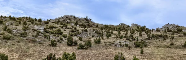 Lipowka Dağı Jura Bölgesindeki Olsztyn Şehri Polonya — Stok fotoğraf