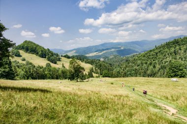 Pieniny Dağları ve Gorce Dağları manzarası