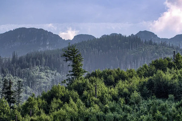 Utsikt Över Tatrabergen — Stockfoto