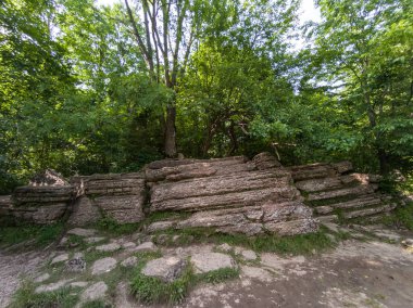 Homole Vadisindeki Taş Kitaplar - Pieniny Dağları - Polonya