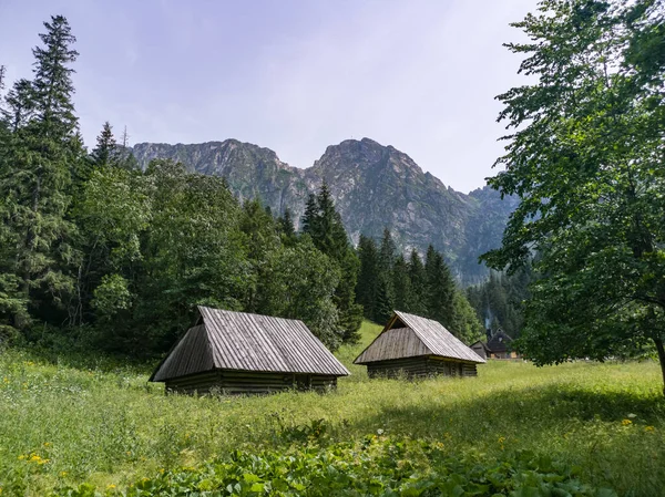 Valle Strazyska Montaña Giewont Tatras Polonia Fotos de stock libres de derechos