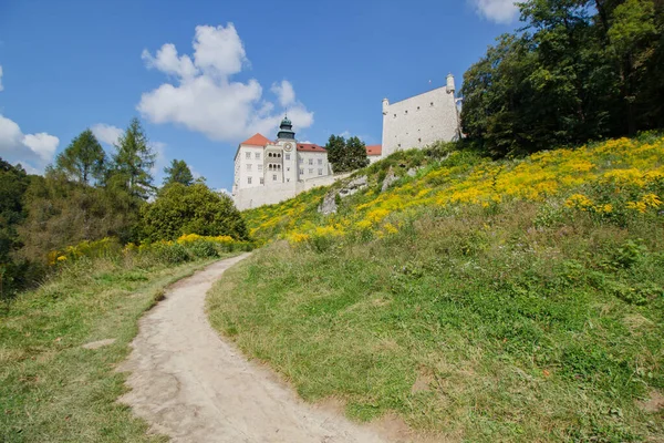 Castle Pieskowa Rock Ojcow City Národní Park — Stock fotografie