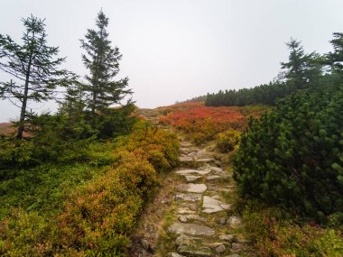 Babia Gora Dağı 'nda Sonbahar - Beskidy Dağları